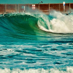 Psilocybin Wave