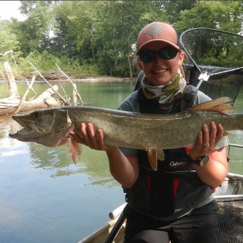 Stream episode TW 302 - Musky, Jack Fish, TN's Nessie… Which is it for you?  by Tennessee WildCast podcast