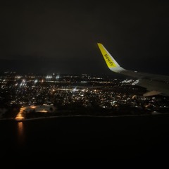 for the birds (demo)