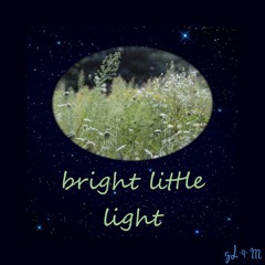 bright little light