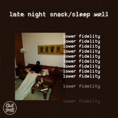 lower fidelity - Sleep Well