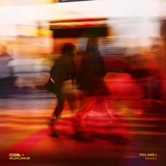 CODIA x WLDFLOW3R - You and I (Kierxn Remix)
