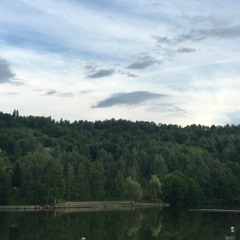 Мэвл - Поздно говорить | remix - g.e.n.y.a.ga