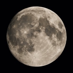 Moon Up 🌙