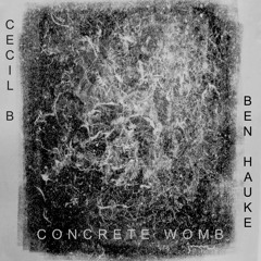 Concrete Womb