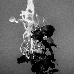 lana del rey - your girl (version 2) (unreleased)