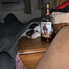 Xeniphøn & KC Baur - Show me Sum