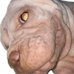 digging into trip 93 퇴근송