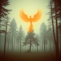 The Inward Journey of the Divine Feminine
