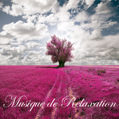 Piano Concerto No. 21 in C Major, K. 467 (La mer)