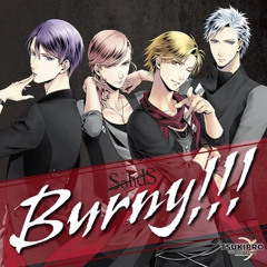 Burny!!! - SolidS
