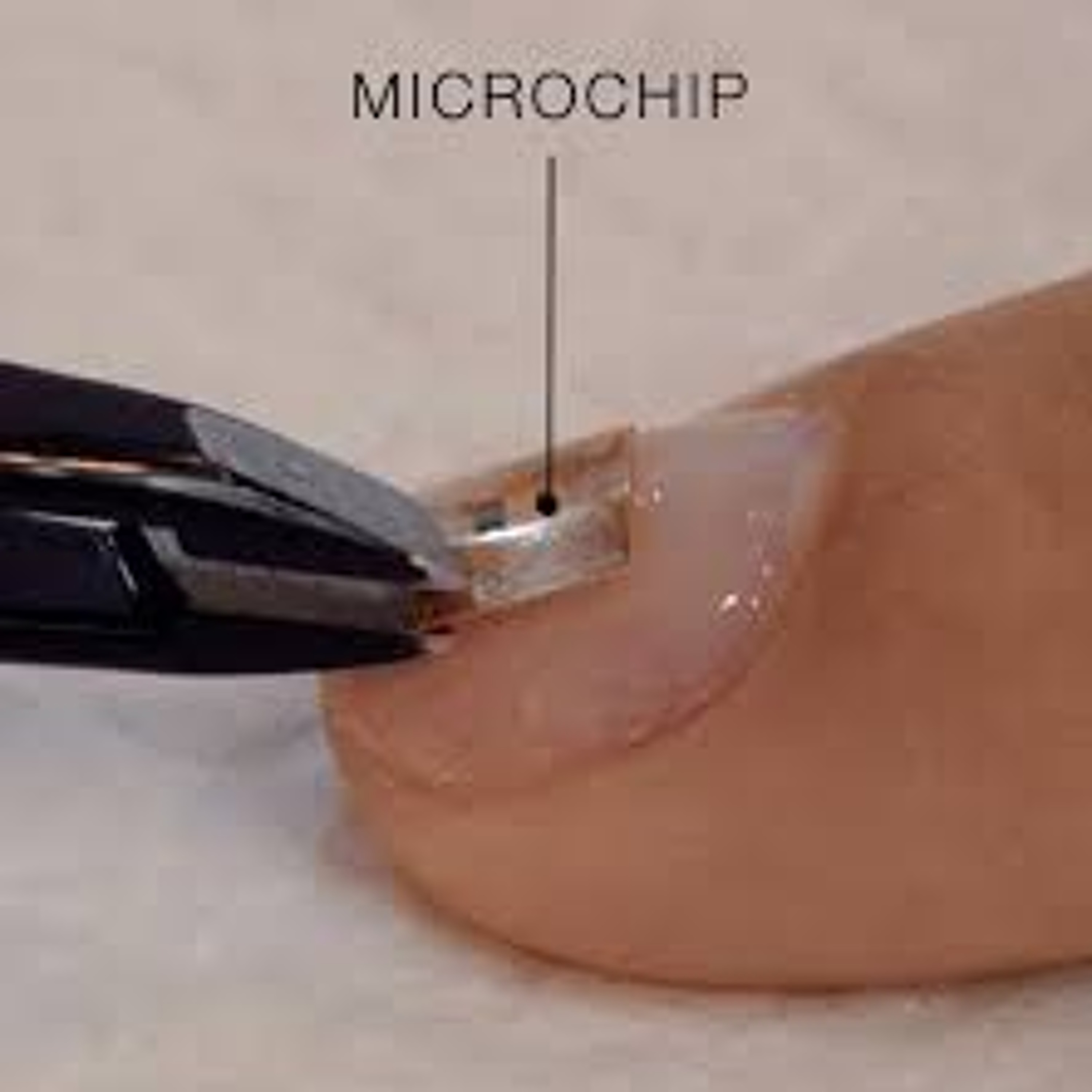 550- Microchip Manicures Turns Your Nails into Data Storage Devices (20.11.20) episode artwork