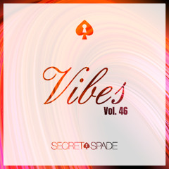 Vibes Vol.46