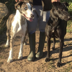 Marshy - Drunk memories