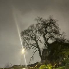 you can never be him, never seen a man so clever