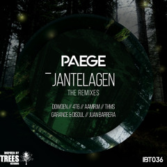 Paege - Jantelagen (Juan Barrera  Remix)