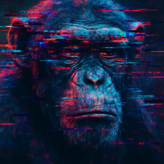 primate