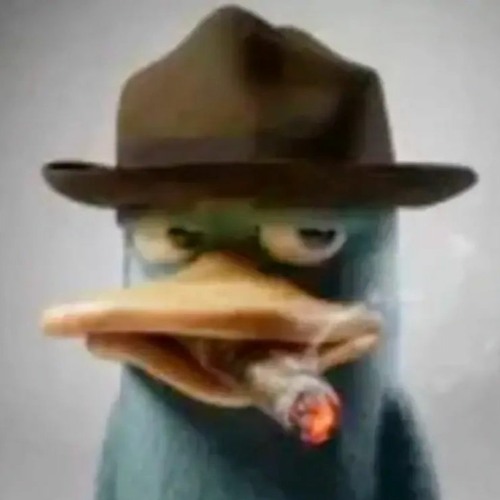 2019