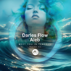 Darles Flow, Aleb - Meet You in Tenerife [M-Sol DEEP]