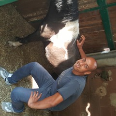 سورة النساء - المصحف المرئي للشيخ ناصر القطامي من رمضان ١٤٣٨هـ