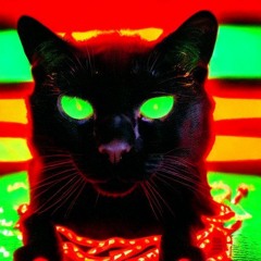 NeonBlackCat - The Chaos Awakens