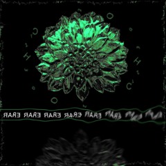 RARE - THE BLOOM