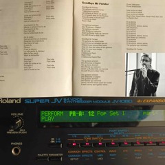 Goodbye Mr Fender (reprise de Pierre Rapsat)