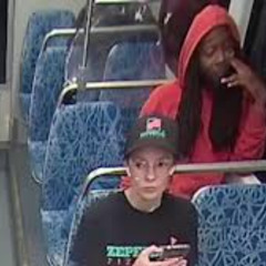 Full Video Of Iryna Zaretska On The Train Video