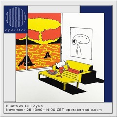 Bluets w/ Lilli Zylka - 05