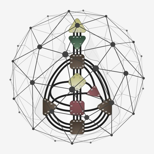 Lines Live Through the Holistic Life | Excerpt from The Lines of Consequence