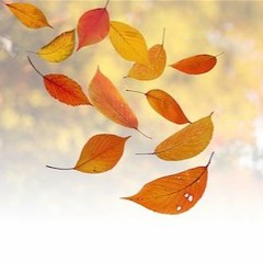 Leaf Experimental Narration