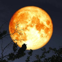 Majestic Full Moon