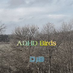 ADHD Birds