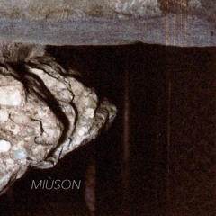 PREMIERE : Miùson - Hesitation [Profundo Collective]
