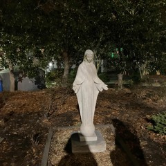 Idk yet w NORUE / Boneskin / Mohammed