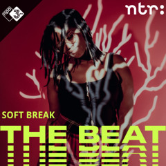 The Beat Mix: Soft Break
