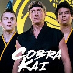 Cobra Kai Season 1 & 2 Discussion Final Version