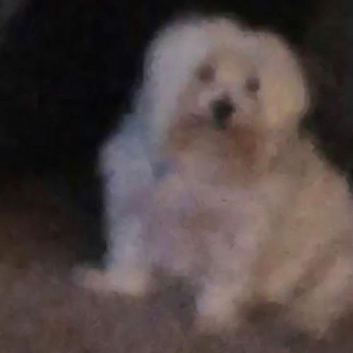 damn... HOW BIG OF A BITCH AM I THAT I MOVE THE WHOLE METAL CRATE⁉️