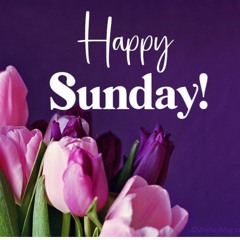 Sunday Funday April 23