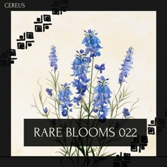Cereus - Rare Blooms 022