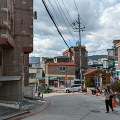 있을 곳과 볼 친구