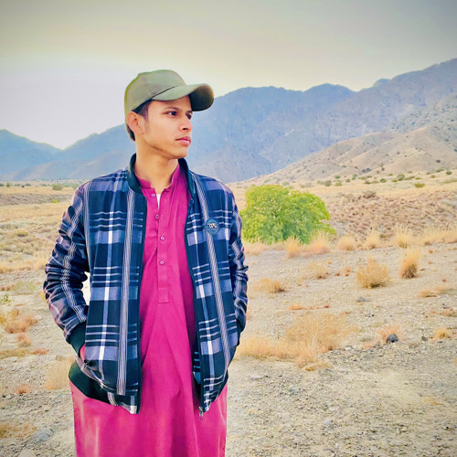 Ho kane dost hai bravhi song.mp3