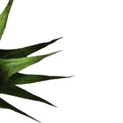 hellbent ft.RVYD3Z (prod.lethalneedle)