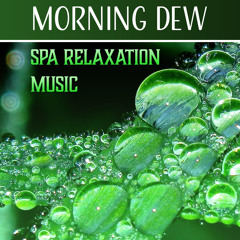Spa Music Paradise
