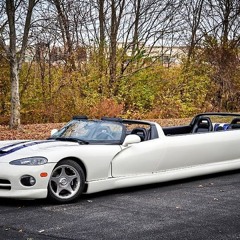 viper