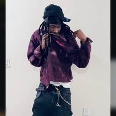 APOLLORED1 x PRADABAGSHAWTY - COD (SOULJASPIRIT)