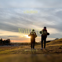 gl0balbroken- Never Better (prod. D S K N 3 K T D)