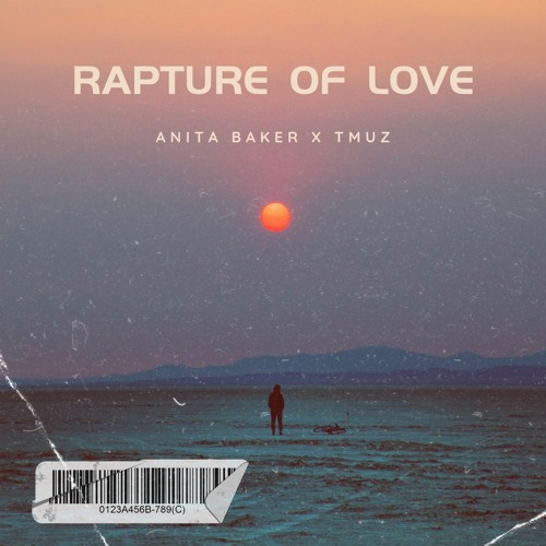 Rapture Of Love (Amapiano Remix)