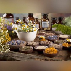 Herbolaria: beneficios de las plantas YUMEL, TARAY DEL RÍO Y UVA URSI