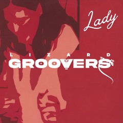 Modjo - Lady (LIZARD GROOVERS Edit)